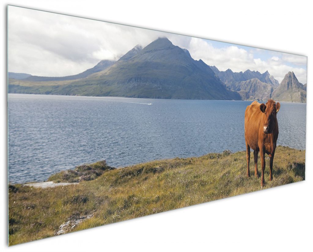 Wallario Küchenrückwand aus Glas, Größe: 125 x 50 cm, Motiv: Kuh in den Bergen | Spritzschutz | abwischbar | pflegeleicht | in
