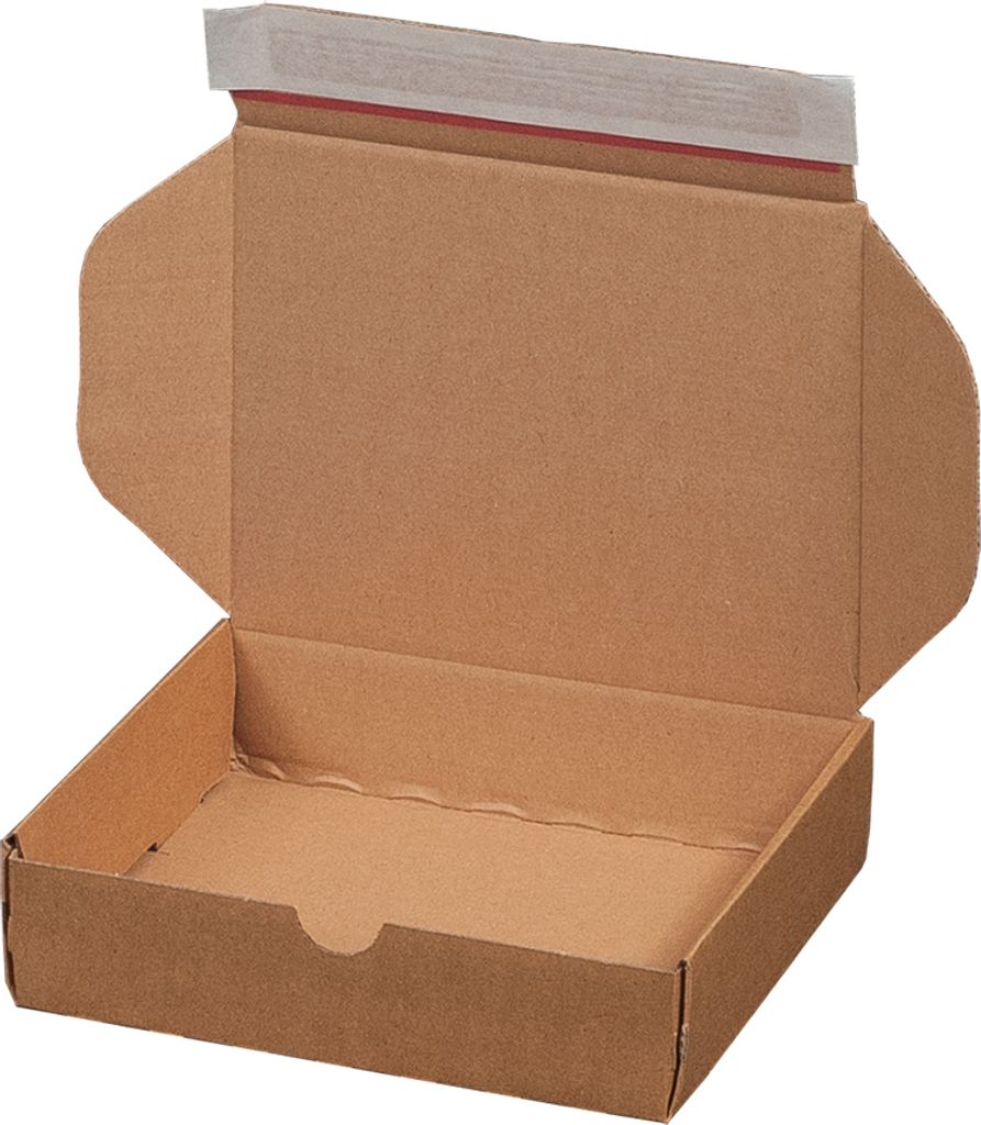 240x Modulbox 192x155x43mm A5 Postkarton Maxibriefkarton Box mit Selbstklebung, braun