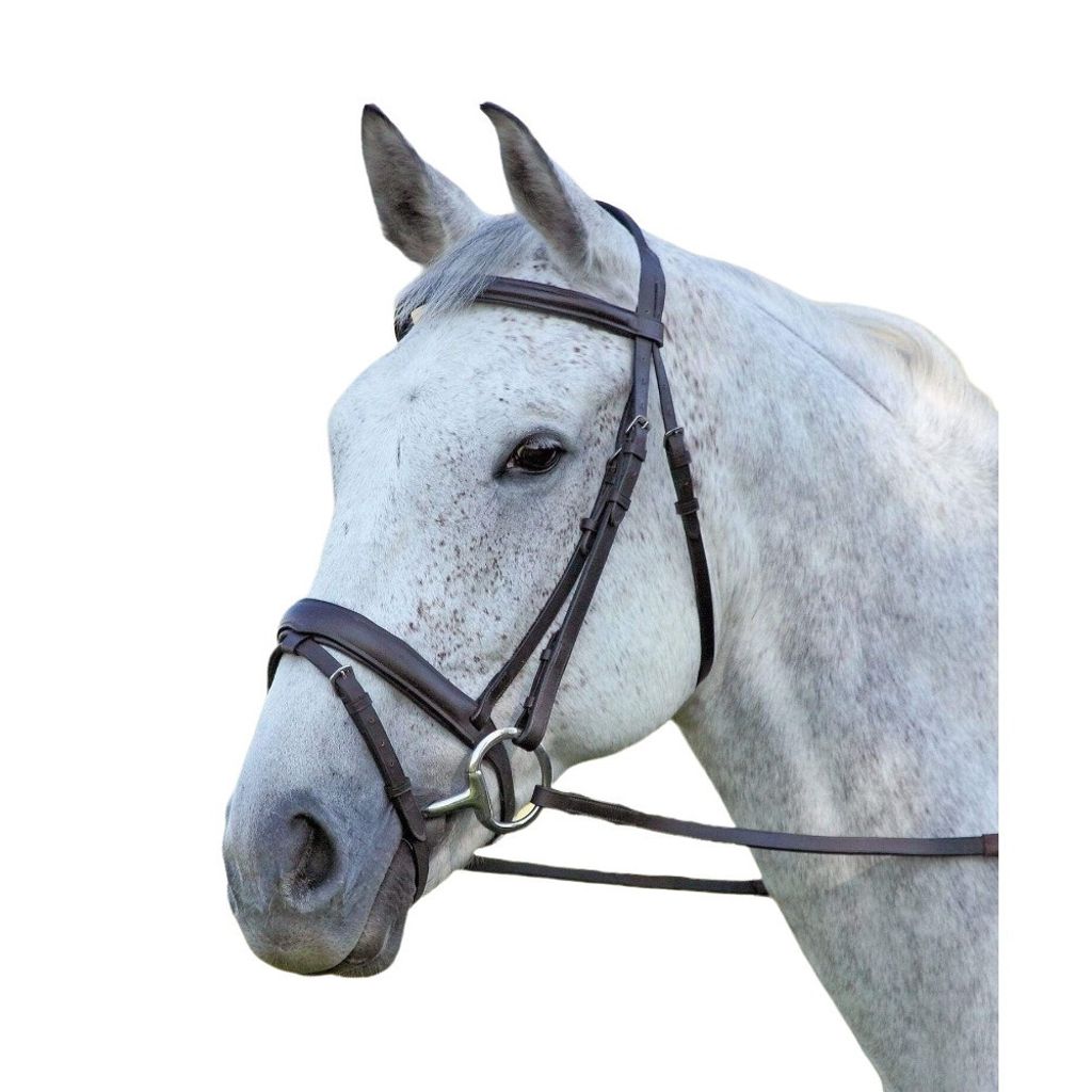 Aviemore - Zaumzeug "Comfort Fit", Leder ER640 (Kleines Pony) (Braun)