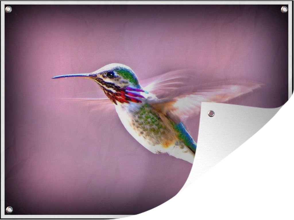 MuchoWow 40x30 cm Outdoor-Poster Gartendeko Sichtschutz Garten Poster für den Garten Kolibri - Gemälde - Lila