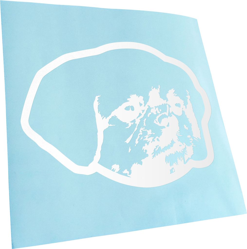 Kiwistar - Autoaufkleber - Tibetan Spaniel Hund - Weiss - 30x21cm - Aufkleber für Auto, Laptop, Fahrrad, LKW, Motorrad Mehrfarbig JDM Decal Racing