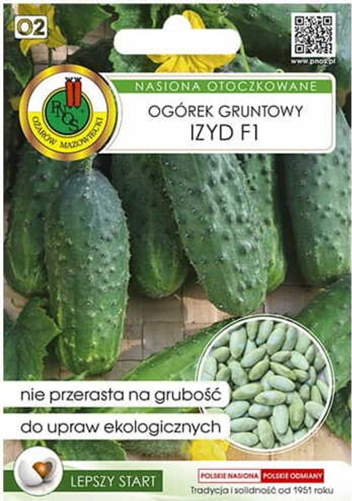 Gurke Izyd F1, eine einzigartige mittelfrühe Sorte mit hohem Ertrag