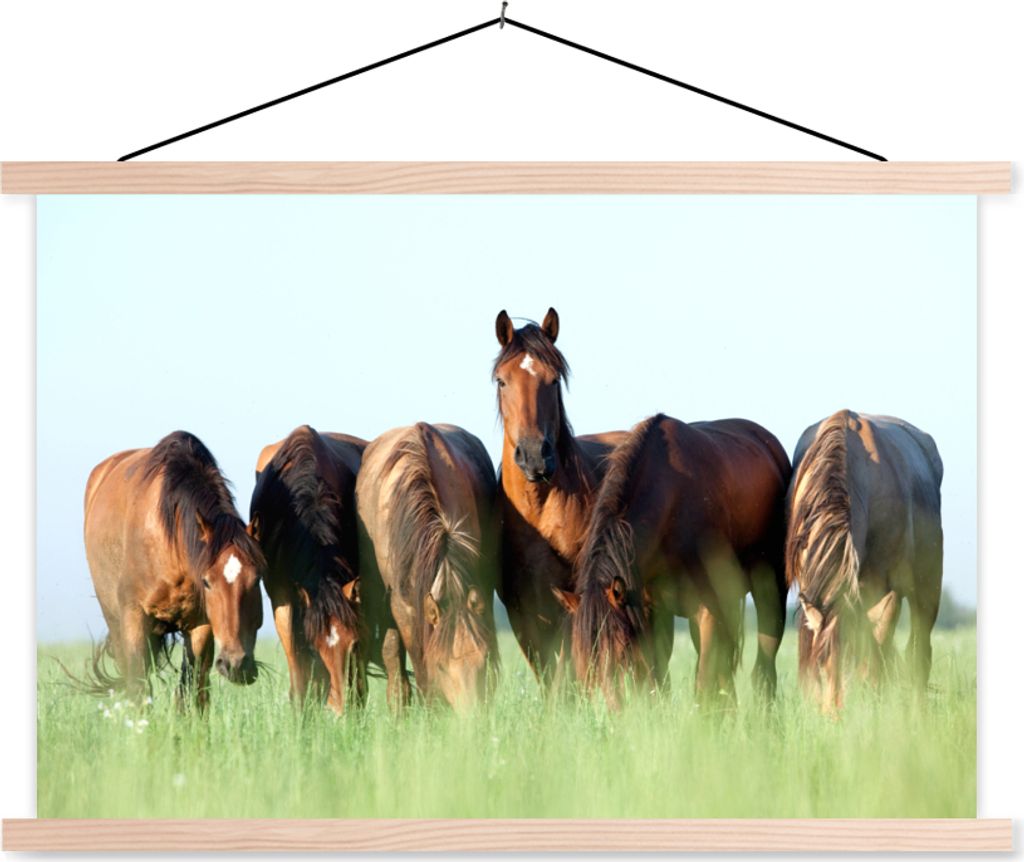 MuchoWow Textilposter Pferde - Tiere - Gras - Sommer 120x80 cm mit holzfarbenen Rahmen - Aufhängeset