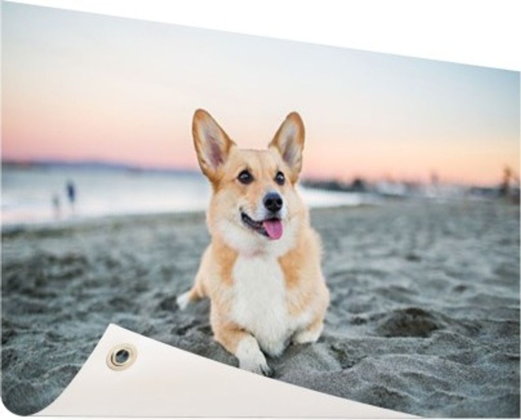 Gartenposter - 120x80 cm - Hund am Strand - Modernes Wandbilder - HausTierposter