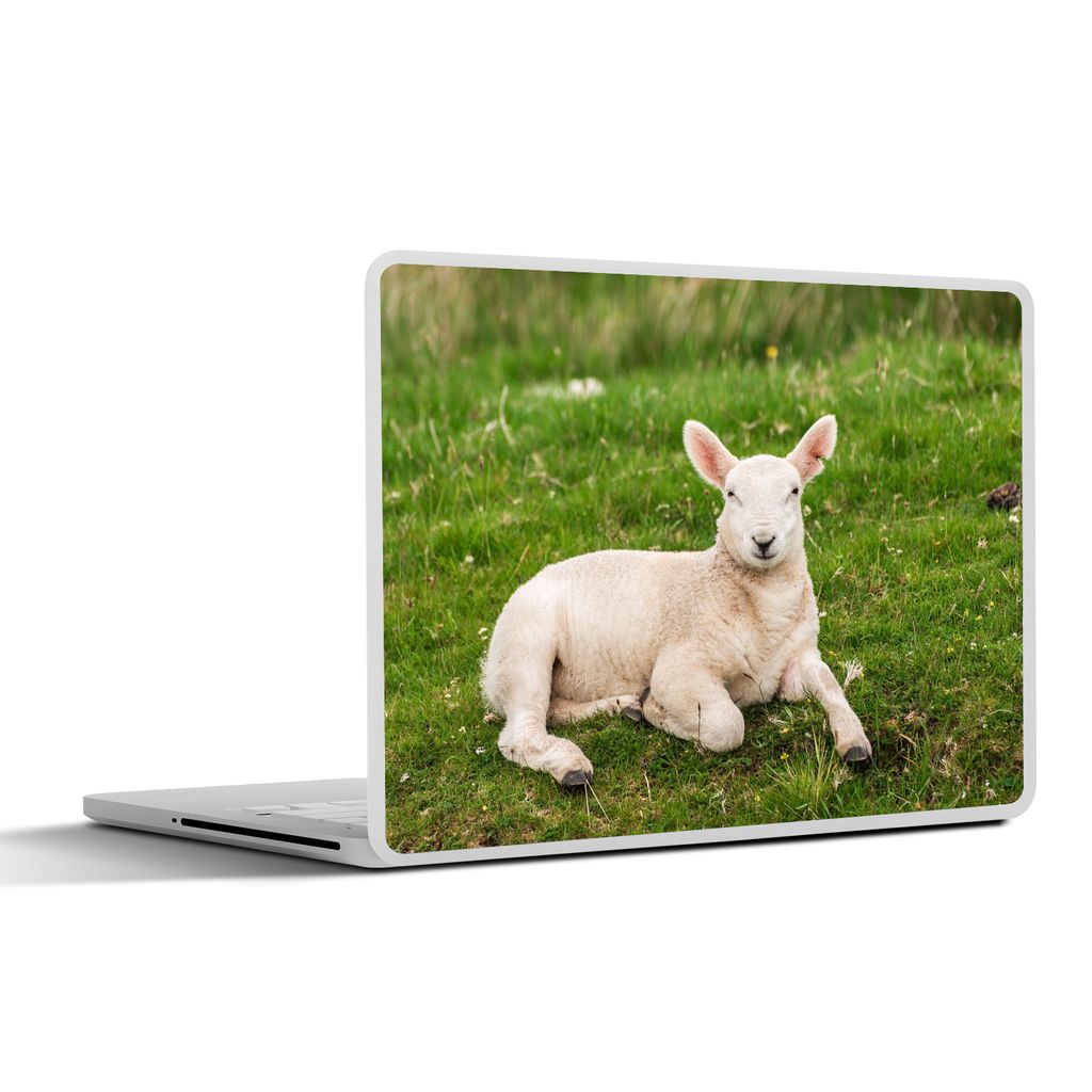 MuchoWow Laptop Aufkleber Sticker Cover Schafe - Tiere - Lamm 30x22 cm - Laptop-Sticker