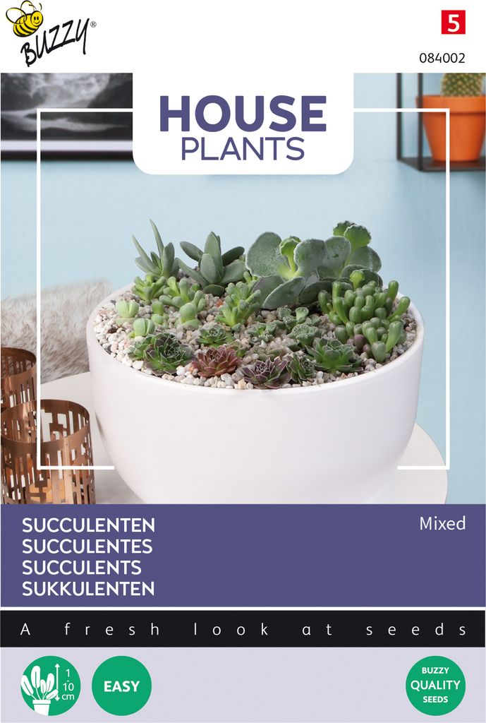 Buzzy House Plants Mixed Succulenten Samen - Ca. 7 Samen | Buzzy_084002