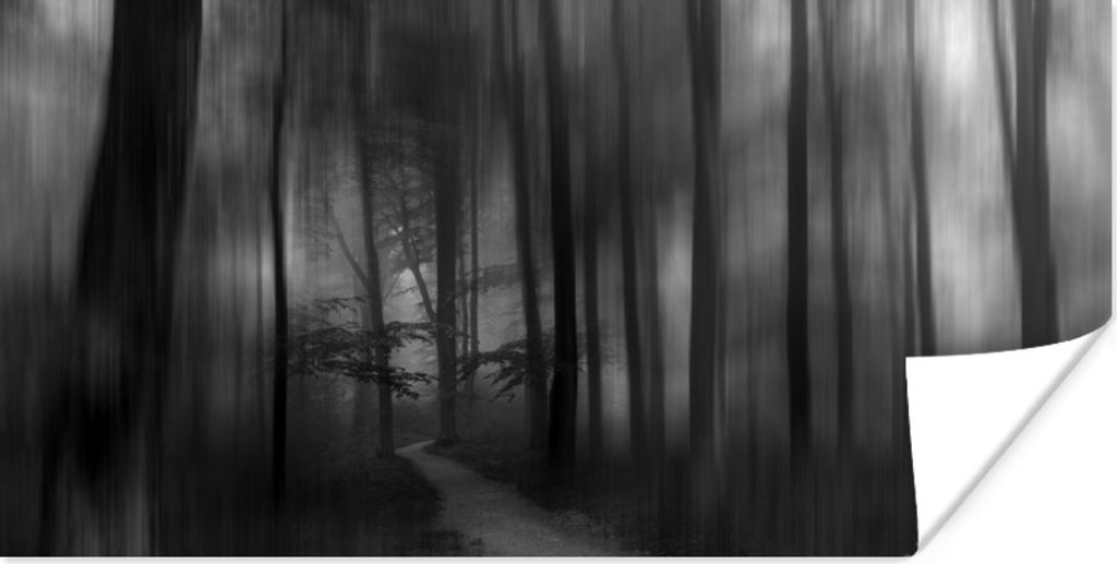 MuchoWow Poster Blurry Forest - schwarz-weiß 120x60 cm - Bild