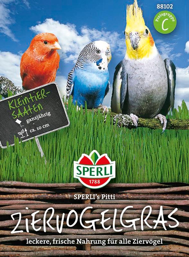 Sperli Ziervogelgras SPERLI ́s Pitti - Blumensamen