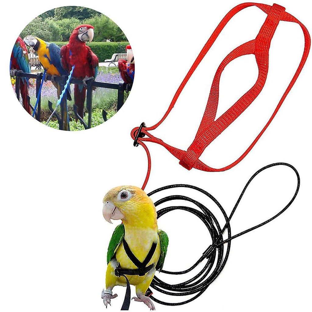 Haustier-Vogelgeschirr, verstellbares Produktbild 