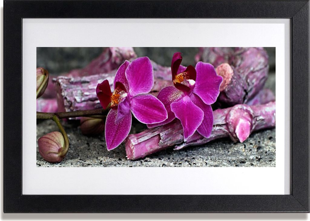 Bild 30x20 MDF-Rahmen Wandkunst Holz Natur Pflanze Blumen