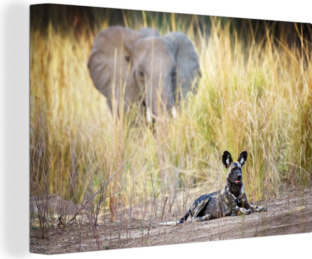 OneMillionCanvasses - Leinwandbilder - 150x100 cm, Afrikanischer Wildhund für Elefanten, Wandbilder Kunstdruck Wanddekoration