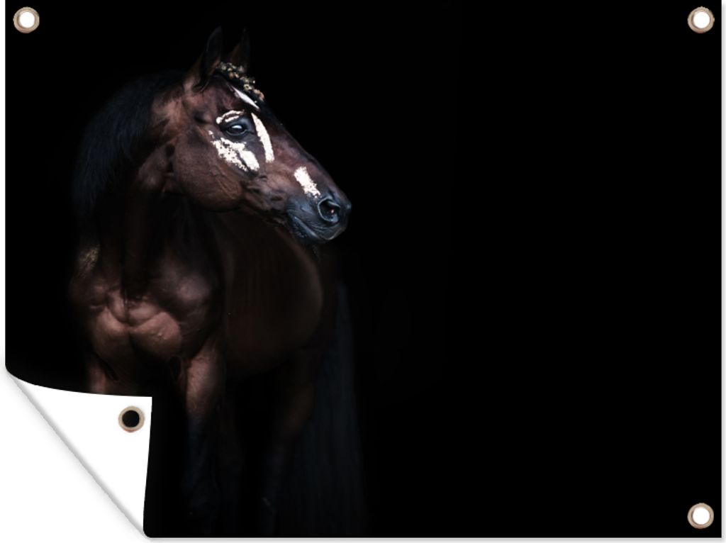 MuchoWow 40x30 cm Outdoor-Poster Gartendeko Sichtschutz Garten Poster für den Garten Pferd - Flecken - Licht