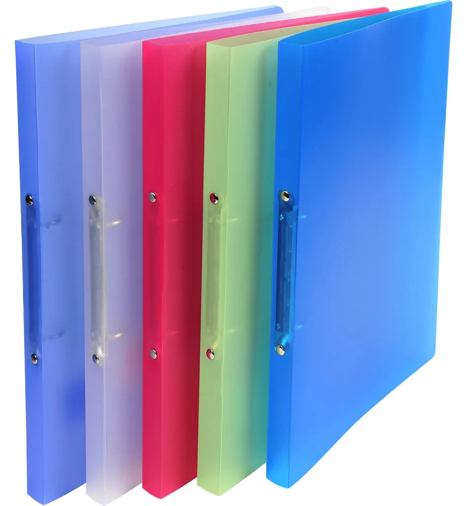 Exacompta 54169E Lot de 20 Classeurs 2 Anneaux 15mm A4 Coloris Assortis