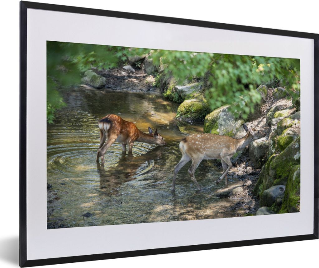 MuchoWow MuchoWow Gerahmtes Poster Hirsche - Steine - Moos - Wasser 60x40 cm - Poster mit zchwarzem Bilderrahmen - Schlafzimmer - Plakat in Rah...