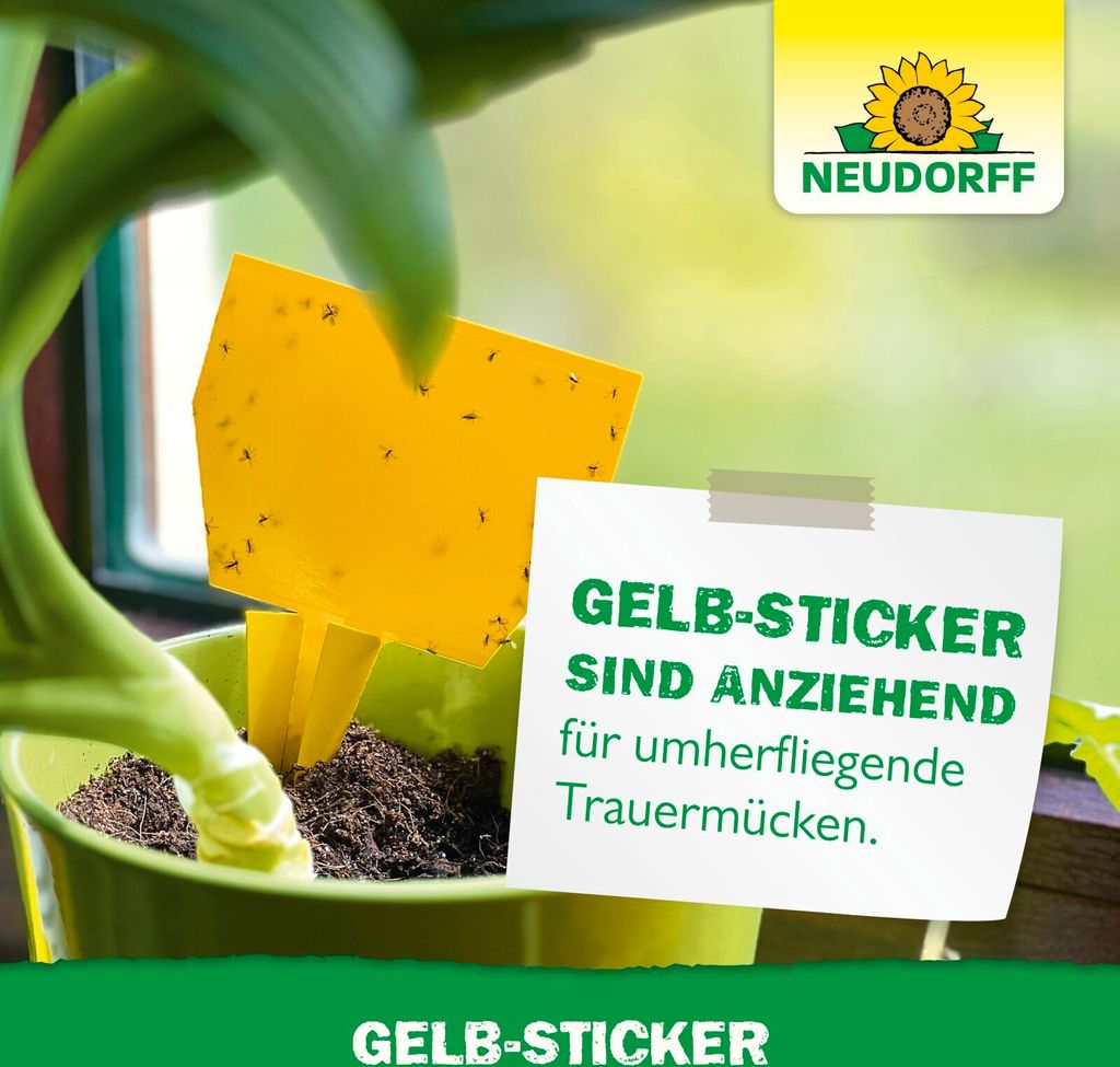 Neudorff Gelb-Sticker 10 Stück Produktbild 5