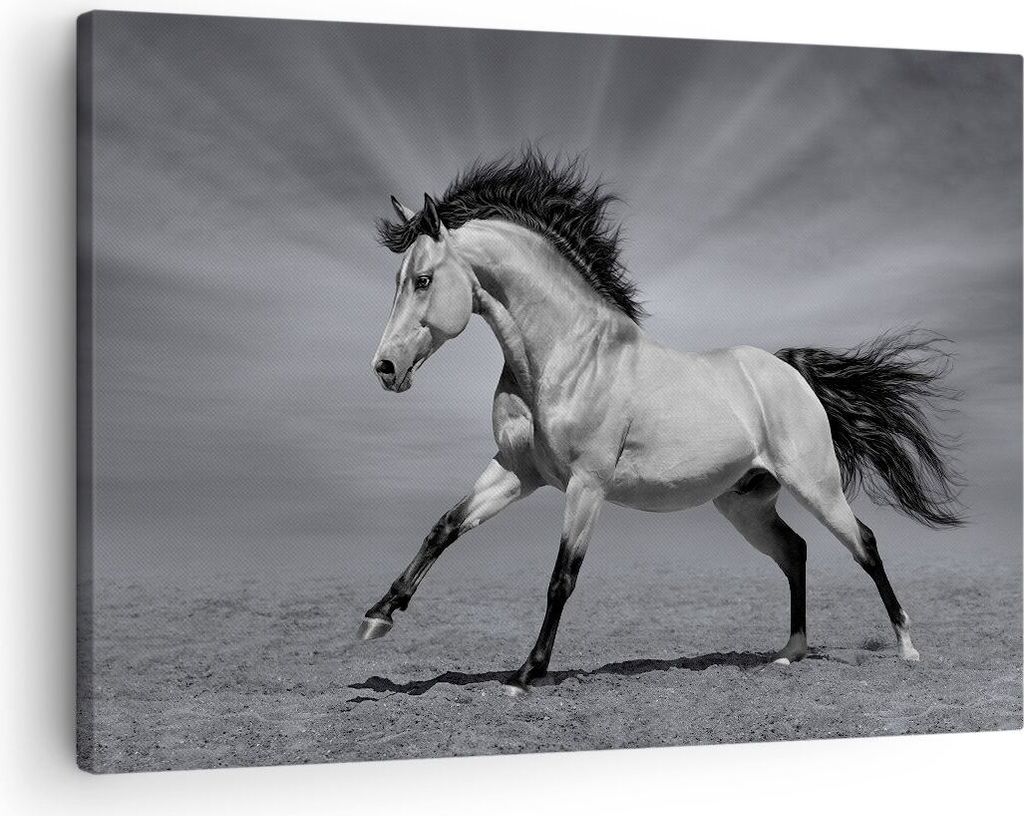 Bild auf Leinwand - Leinwandbild - Pferd Tier Natur - 70x50cm - Wand Bild - Wanddeko - Wandbilder - Leinwanddruck - Bilder - Kunstdruck - Wanddekor...