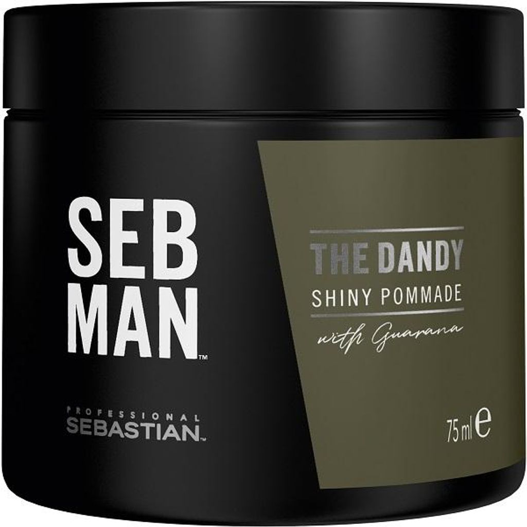 Sebastian Professional Seb Man The Dandy Pomade 75 ml Image du produit 