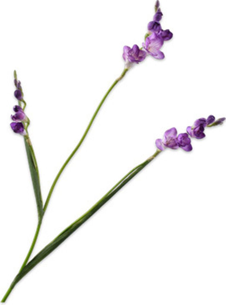 Silk-ka Kunstblume-Seidenblume Freesienzweig Lila 83 cm