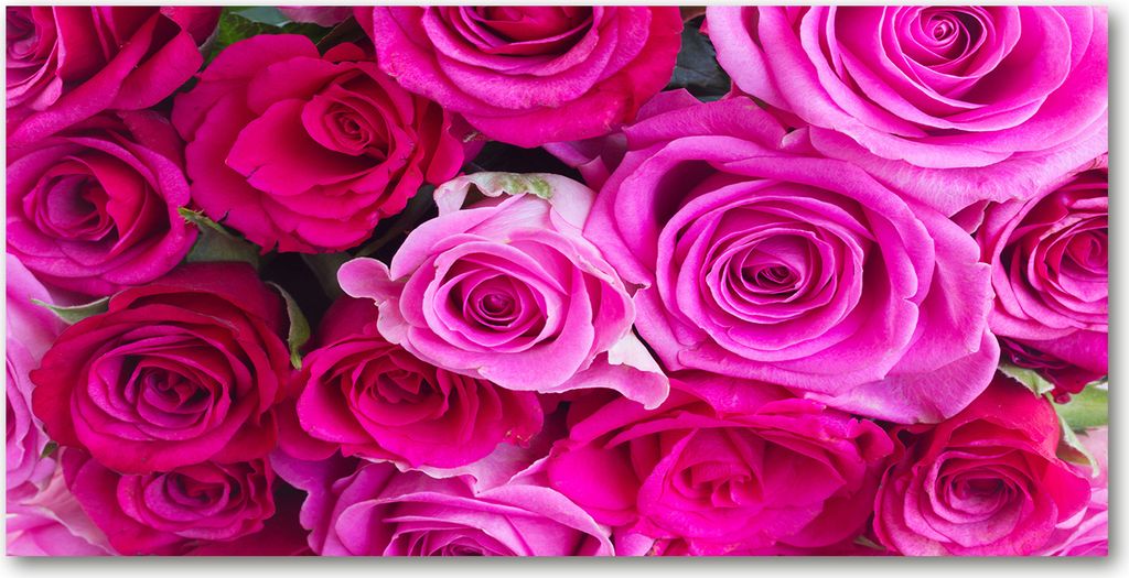 Tulup Küchenrückwand Spritzschutz aus Glas -100x50 -Spritzschutz auf gehärtetes GlasBlumen & Pflanzen Blumenstrauß Rosen