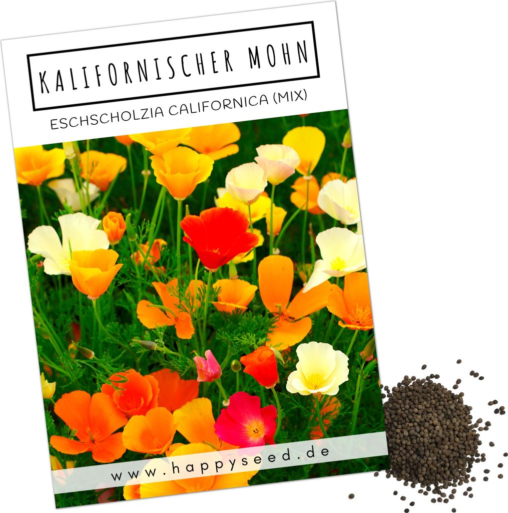 Kalifornischer Mohn Samen Mix (Eschscholzia californica) - Wunderschön blühende Mohnblumen mit langer Blütezeit für eine bunte Blumenwiese (Kal...