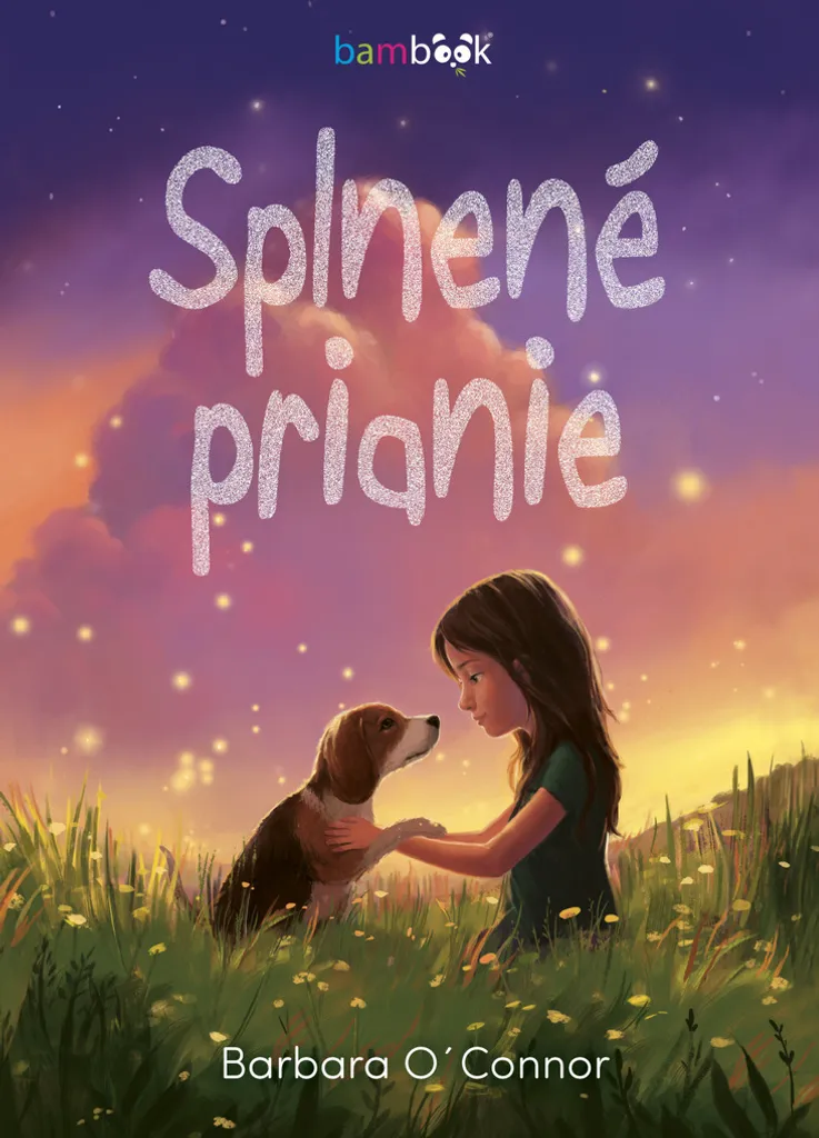 Roman Splnené prianie - Idée cadeau lecture jeunesse Barbara Connor