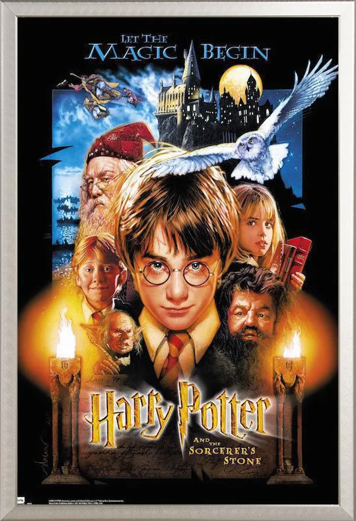 Affiche Harry Potter protégée sous cadre aluminium Shinsuke® robuste