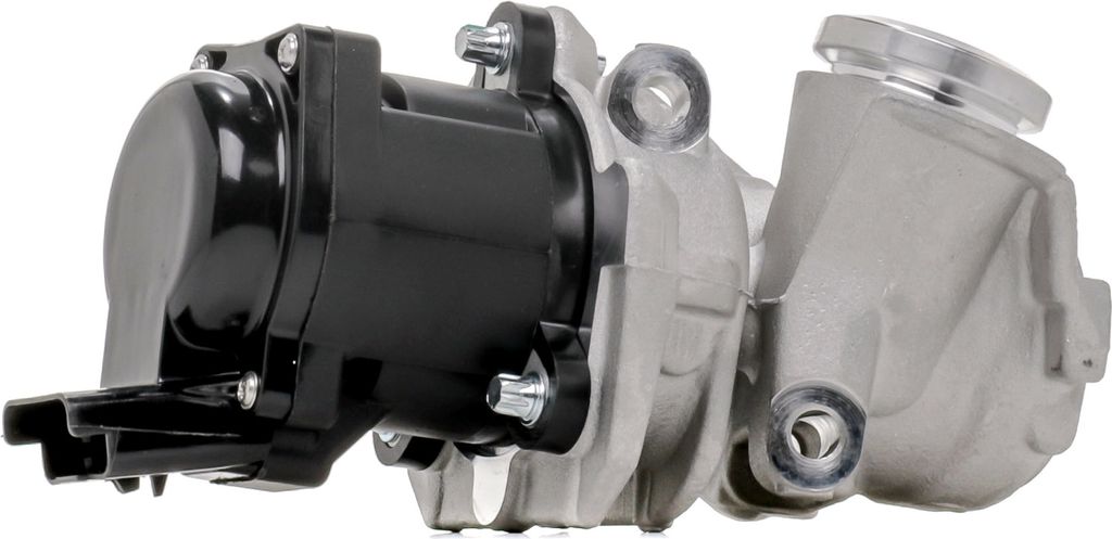 PIERBURG 7.24809.39.0 AGR-Ventil mit Dichtung für FORD Produktbild 