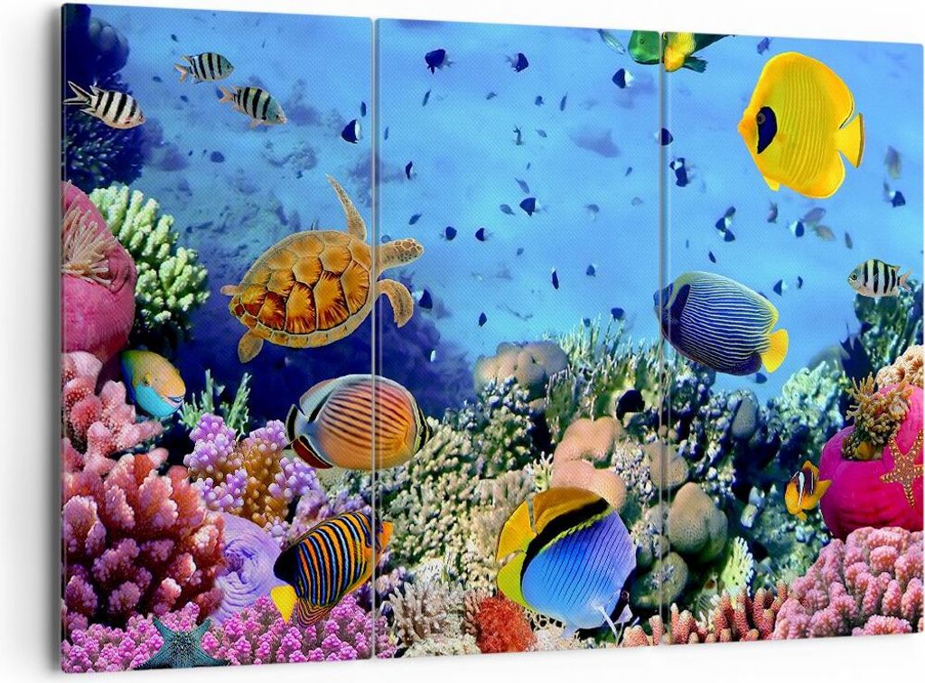 Bild auf Leinwand - Leinwandbild - Korallenriff - 165x110cm - Wand Bild - Wanddeko - Wandbilder - Leinwanddruck - Bilder - Kunstdruck - Wanddekorat...