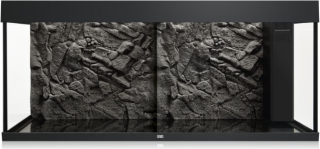 A product shot of a terrarium background.