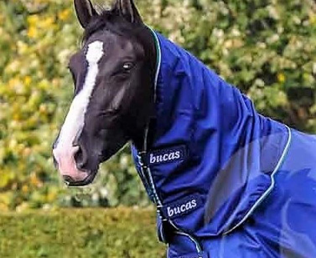 Bucas Halsteil Smartex Combi Neck Blue XL (155cm) Produktbild 