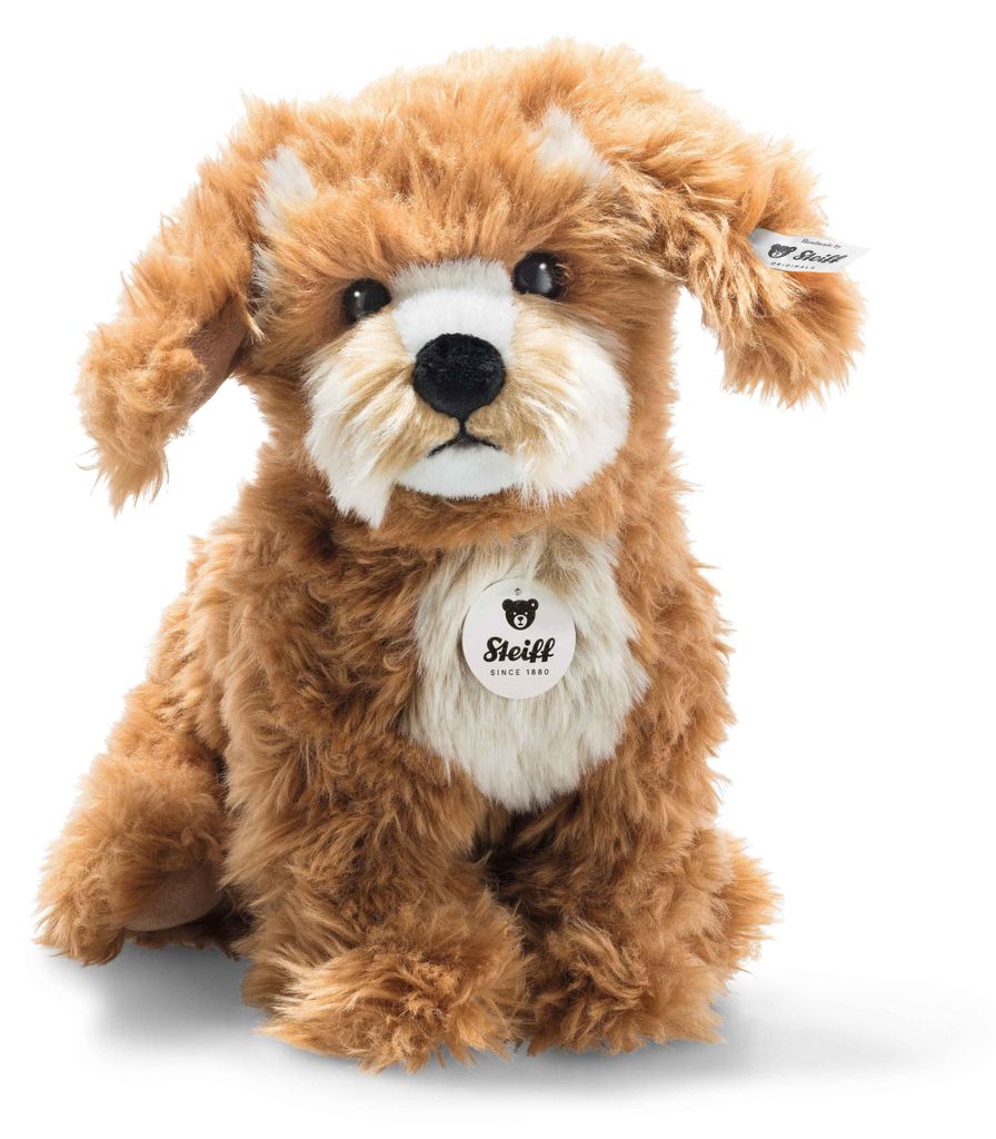 Curlie Cockapoo 24 rotbraun s Produktbild 