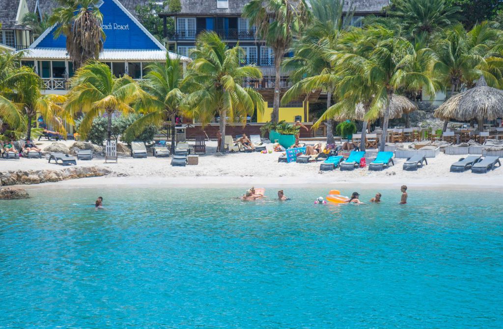 hansepuzzle 37716 - Lagune Puzzle, 500 Teile, Natur, 46,0 x 30,0cm mit hochwertiger Aufbewahrung, Kartonbox und wiederverschließbarem Beutel