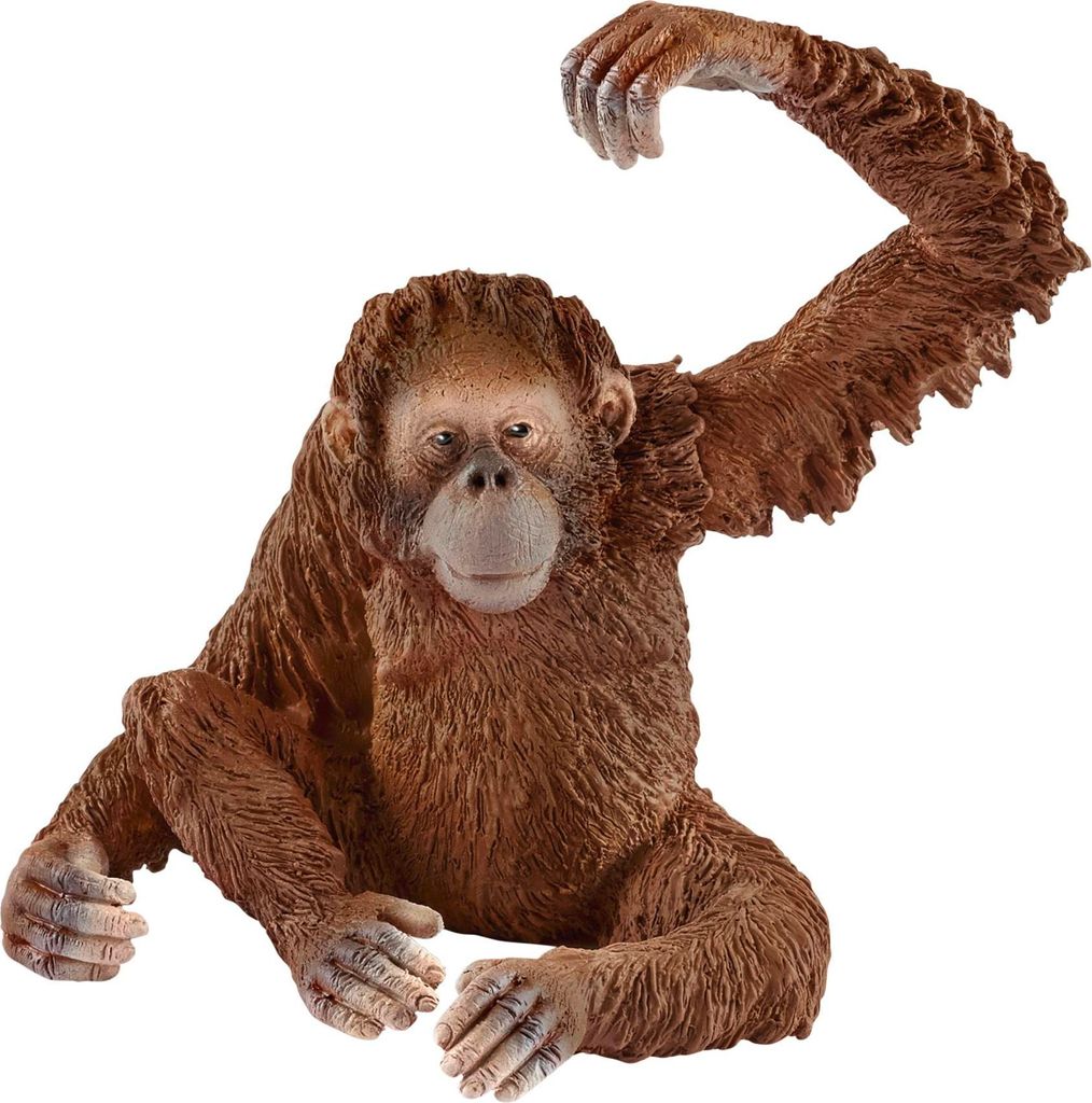Schleich - Figurines d'animaux, Orang-outan femelle ; 14775 Image du produit 