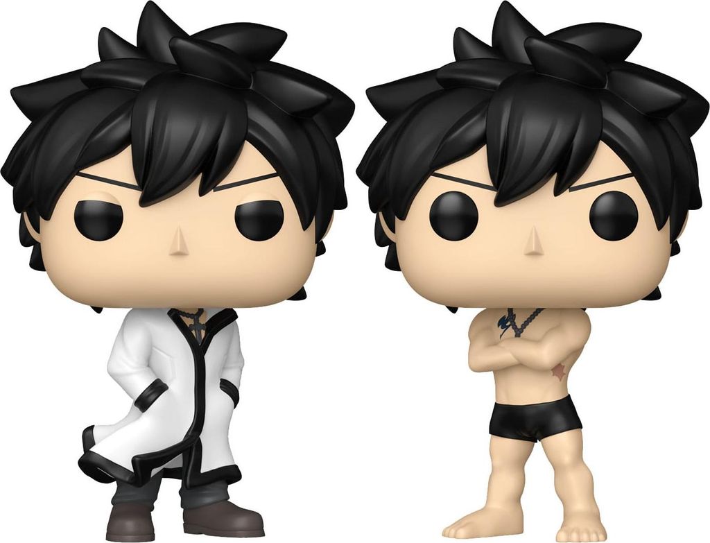 Fairy Tail 100 Year Quest POP! Animované vinylové figúrky Obrázok produktu 