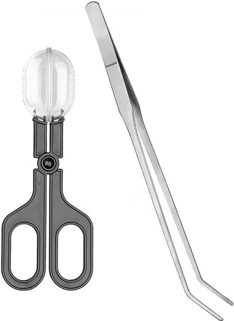 Lampe reptile verte orientable avec pince de fixation haute sécurité