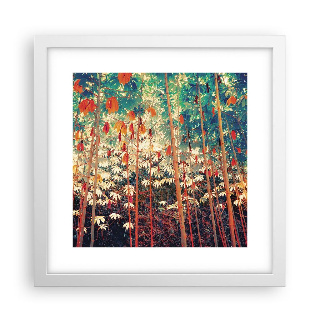 Gerahmtes Poster - Weißer Rahmen - Pflanzen tropisch orange - 30x30 cm - Wand Bild - Wanddeko - Wandbilder - Kunstposter - Wandposter - Bilderrahm...