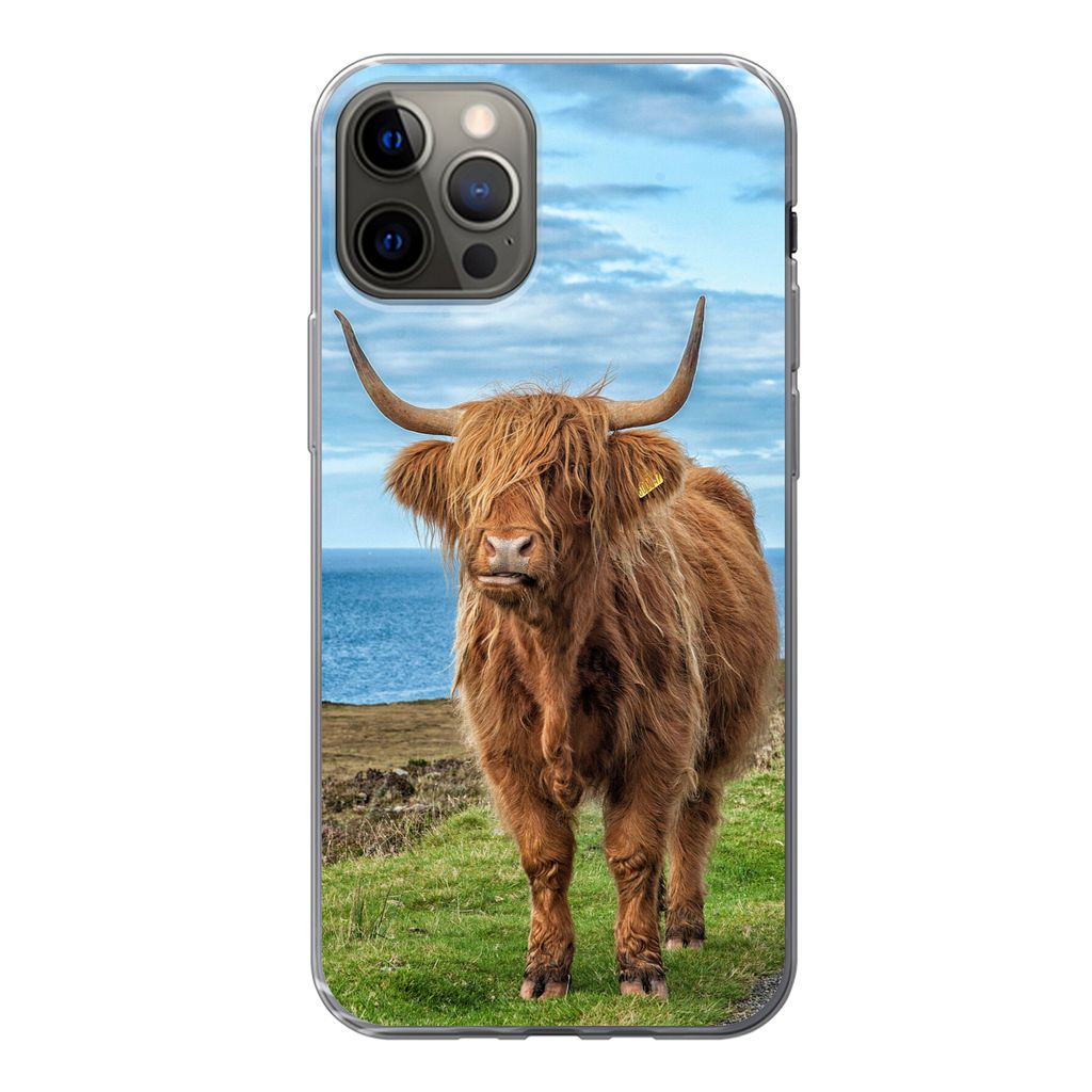 MuchoWow Handyhülle Schutzhülle Hülle für iPhone 13 Pro Schottischer Highlander - Wasser - Hörner Silikon Softcase Handy Hülle - Handy-Tasche