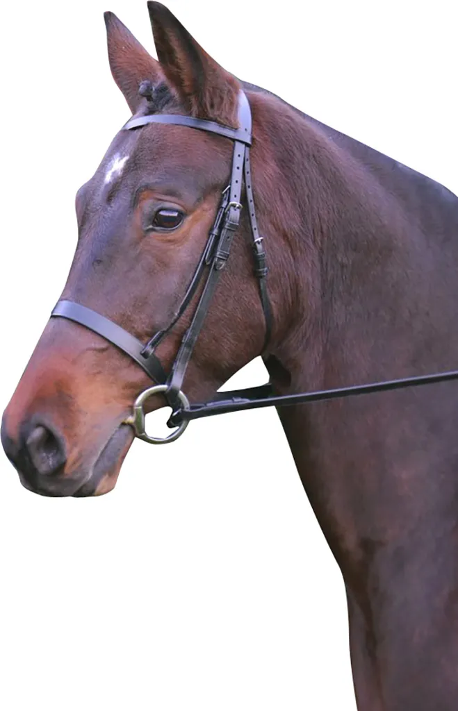 Filet Hunter Hybride en Cuir Marron BZ3045 - Équipement Cheval Full
