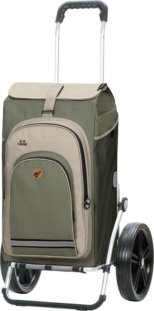 Andersen Royal Shopper Hydro 2.1 29 cm Kugellagerrad grau Produktbild 