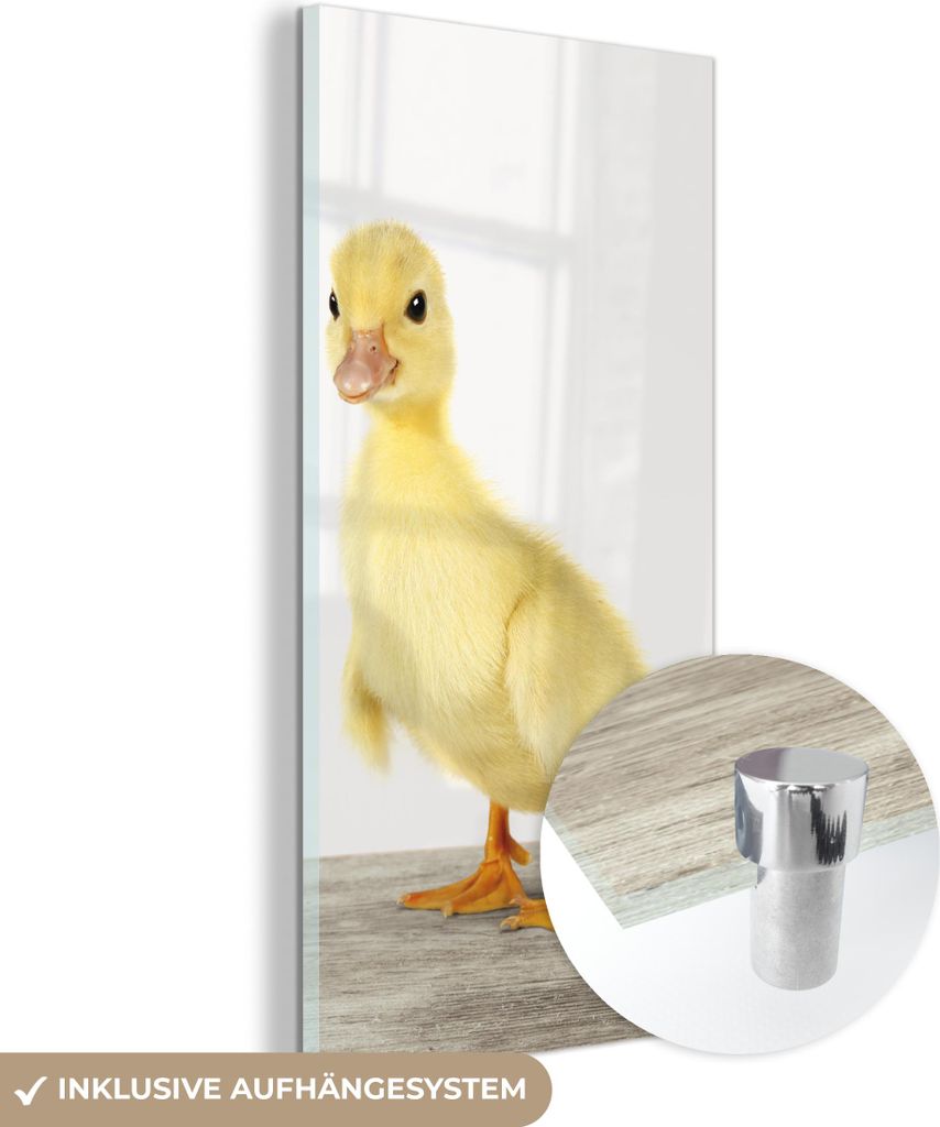 MuchoWow Glasbilder - Bilder auf Wandbild - Foto auf Glas Ente - Küken - Tiere - Süß - Mädchen - Jungen - Kinder 60x120 cm Wanddekoration aus G...