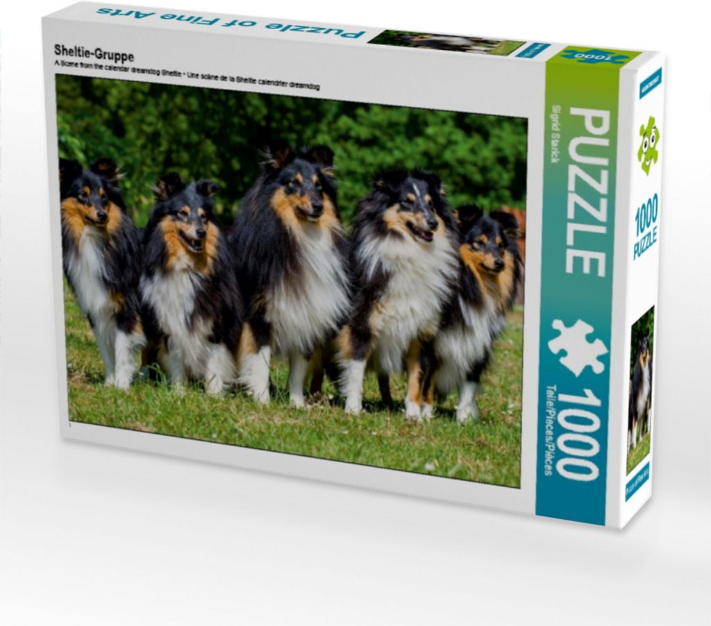 CALVENDO Puzzle Sheltie-Gruppe 1000 Teile Puzzle quer | 1000 Teile Lege-Größe 64x48cm Foto-Puzzle für glückliche Stunden