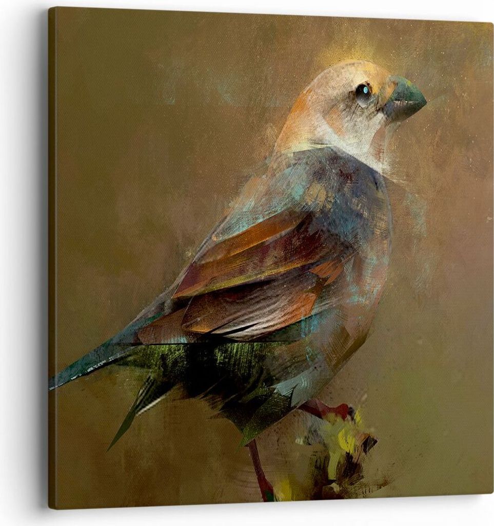 Bild auf Leinwand - Leinwandbild - Vogel Natur - 40x40cm - Wand Bild - Wanddeko - Wandbilder - Leinwanddruck - Bilder - Kunstdruck - Wanddekoration...