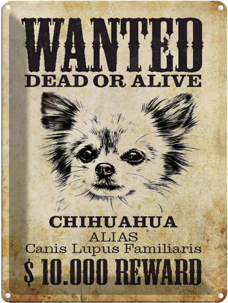 vianmo Blechschild 40x30 cm Hund wanted Chihuahua Alias