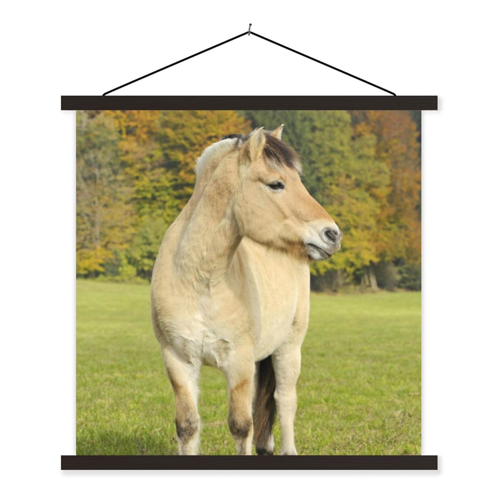 MuchoWow Textilposter Fjordpferd in einer Herbstlandschaft 60x60 cm mit schwarzem Rahmen - Posteraufhänger
