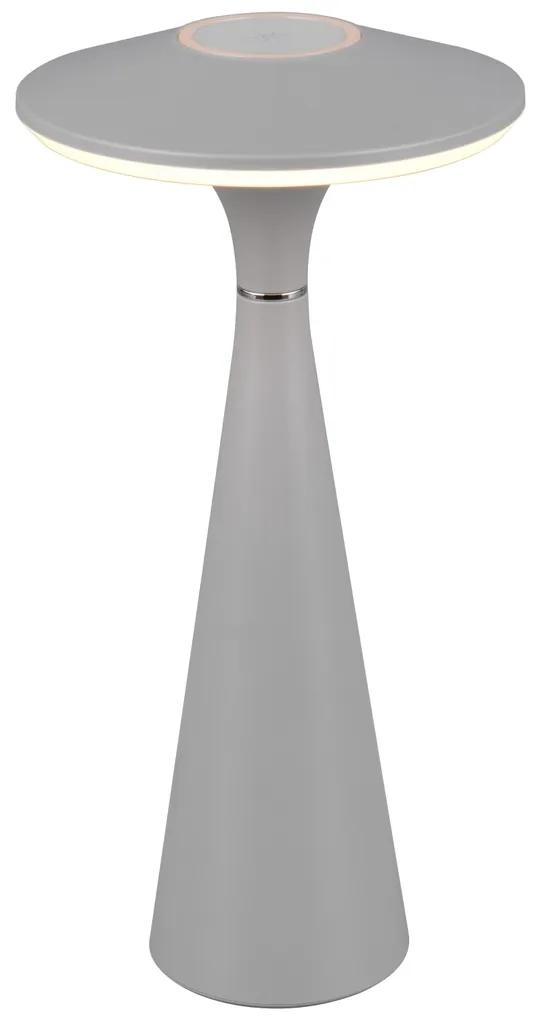 Lampe extérieure rechargeable grise LED 2W TORREZ RL - Noir/Gris
