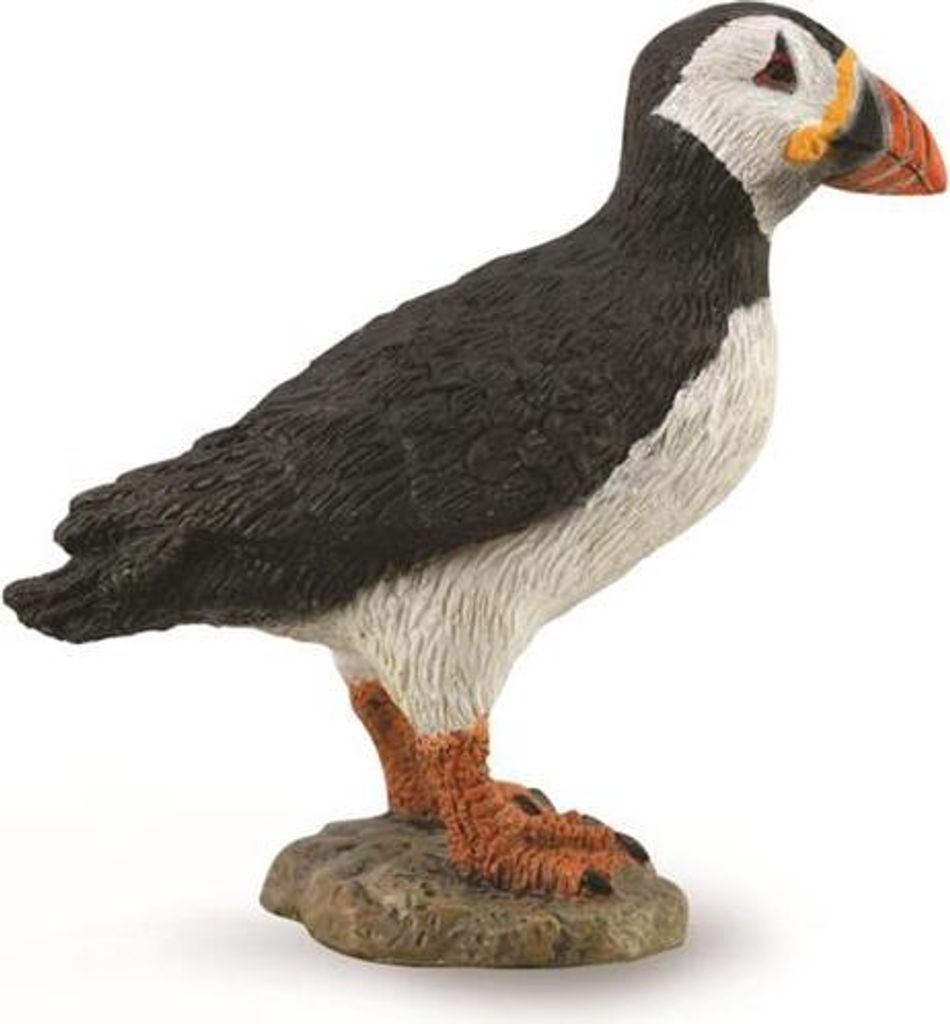 Collecta Animaux marins papegaaiduiger 6 x 5,5 cm Image du produit 