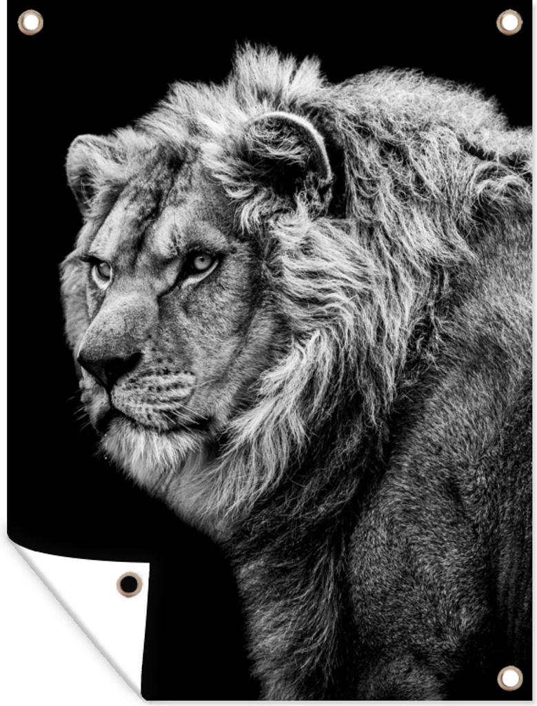 MuchoWow 60x80 cm Outdoor-Poster Gartendeko Sichtschutz Garten Poster für den Garten Löwe - Porträt - Wildtiere - Schwarz - Weiß