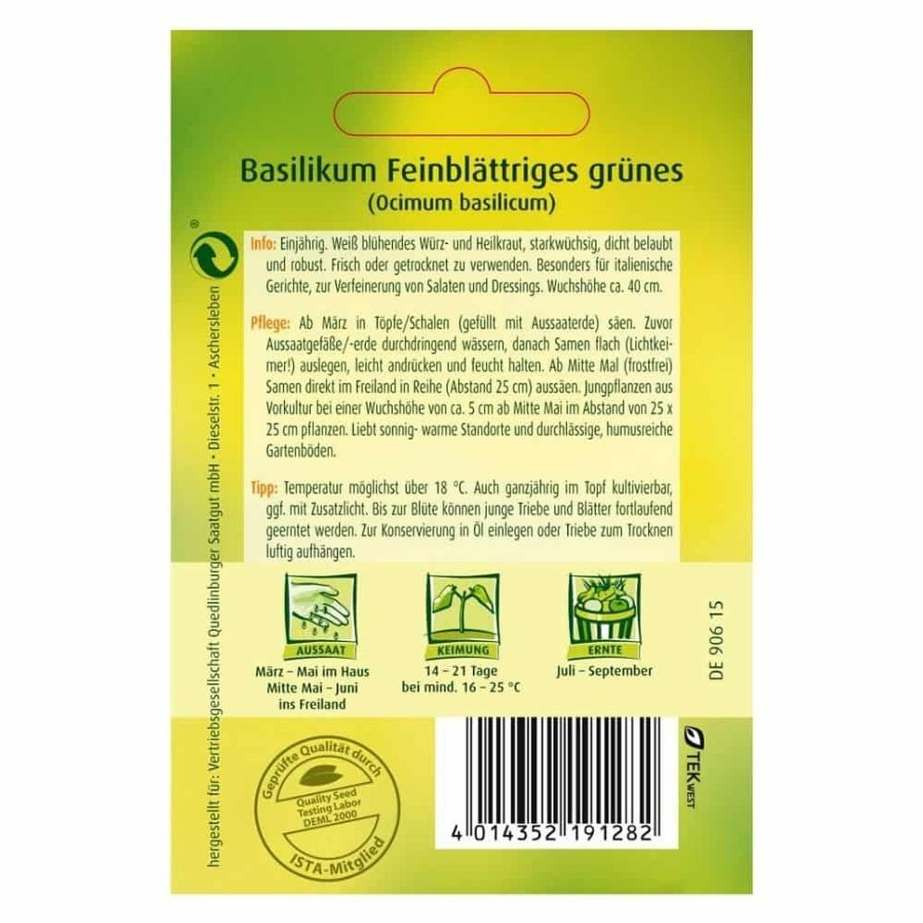 Quedlinburger Saatgut - Basilikum feinblättriges grüne - Samen - 492292