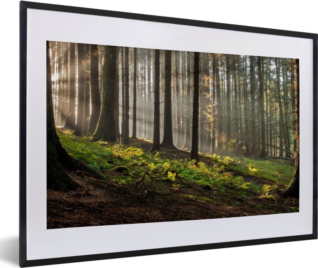 MuchoWow Gerahmtes Poster Sonne - Äste - Bäume - Wald - Natur 60x40 cm - Poster mit Schwarzem Bilderrahmen Wandposter Rahmen Foto Bilder - Schl...