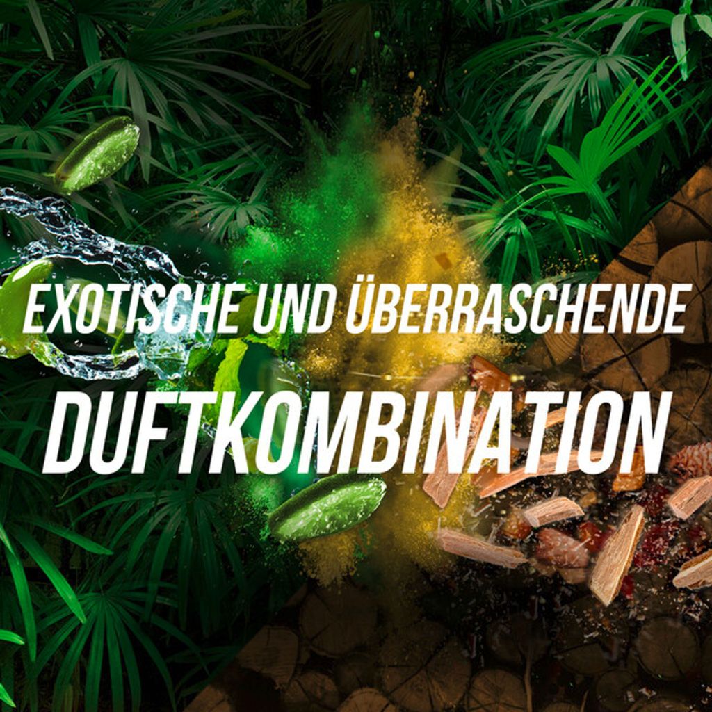 Axe Deospray Wild Green Mojito & Cedarwood ohne Produktbild 9